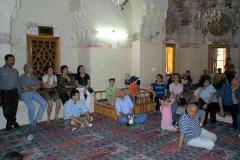 Tire Gezisi